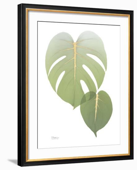 Golden Philodendron 1-Albert Koetsier-Framed Photo