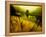 Golden Plant Growth along Peaceful River-Jan Lakey-Framed Premier Image Canvas