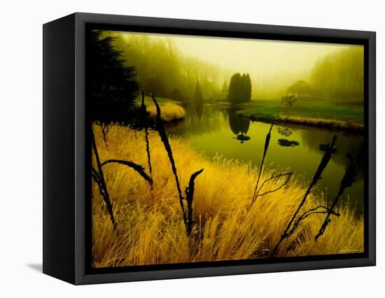 Golden Plant Growth along Peaceful River-Jan Lakey-Framed Premier Image Canvas