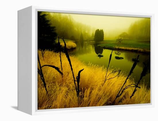 Golden Plant Growth along Peaceful River-Jan Lakey-Framed Premier Image Canvas