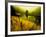 Golden Plant Growth along Peaceful River-Jan Lakey-Framed Photographic Print