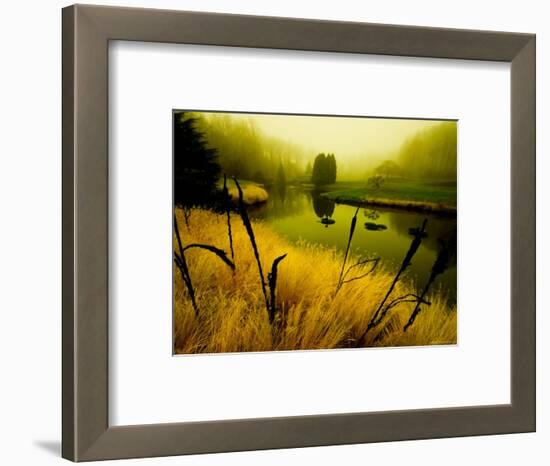 Golden Plant Growth along Peaceful River-Jan Lakey-Framed Photographic Print