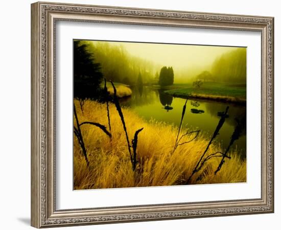 Golden Plant Growth along Peaceful River-Jan Lakey-Framed Photographic Print