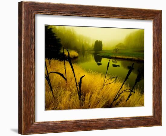 Golden Plant Growth along Peaceful River-Jan Lakey-Framed Photographic Print