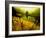 Golden Plant Growth along Peaceful River-Jan Lakey-Framed Photographic Print