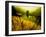 Golden Plant Growth along Peaceful River-Jan Lakey-Framed Photographic Print