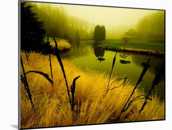 Golden Plant Growth along Peaceful River-Jan Lakey-Mounted Photographic Print