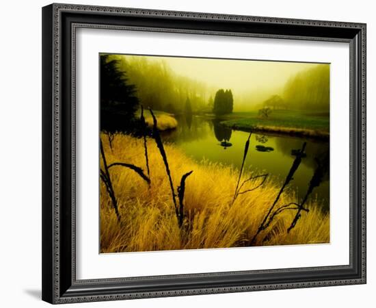 Golden Plant Growth along Peaceful River-Jan Lakey-Framed Photographic Print