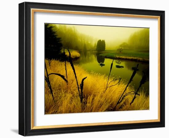 Golden Plant Growth along Peaceful River-Jan Lakey-Framed Photographic Print