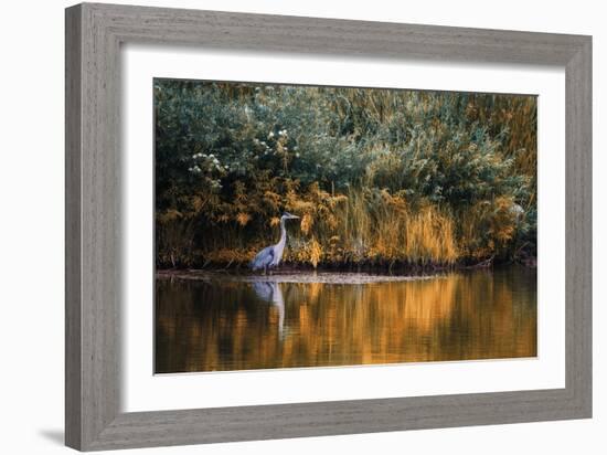 Golden Pond-Bobbie Goodrich-Framed Giclee Print