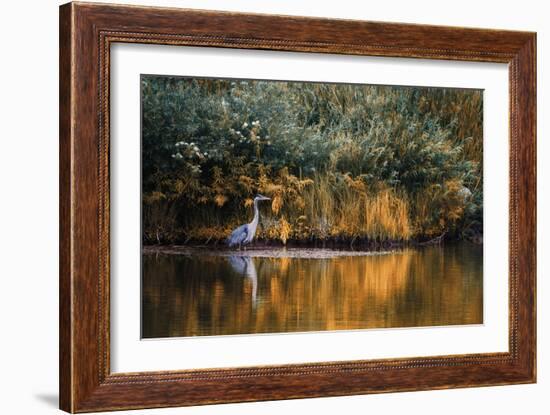 Golden Pond-Bobbie Goodrich-Framed Giclee Print