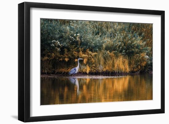 Golden Pond-Bobbie Goodrich-Framed Giclee Print