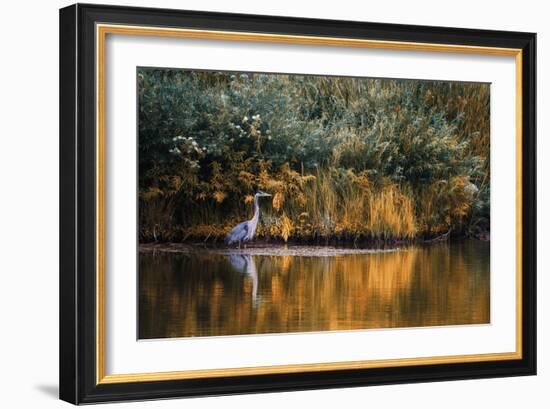 Golden Pond-Bobbie Goodrich-Framed Giclee Print