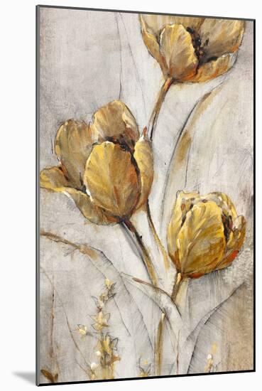 Golden Poppies on Taupe I-Tim OToole-Mounted Art Print