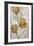 Golden Poppies on Taupe II-Tim OToole-Framed Art Print