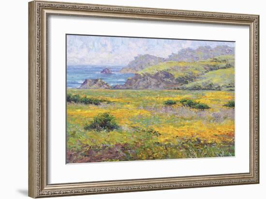 Golden Poppies-Dean Bradshaw-Framed Giclee Print