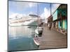 Golden Princess Cruise Ship Docked in St. John's, Antigua, Caribbean-Jerry & Marcy Monkman-Mounted Photographic Print