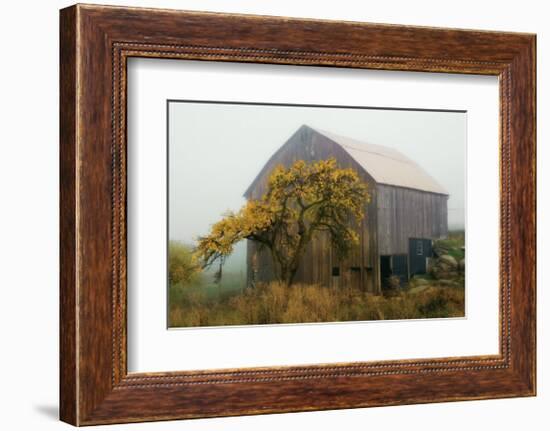 Golden Promises-David Winston-Framed Giclee Print