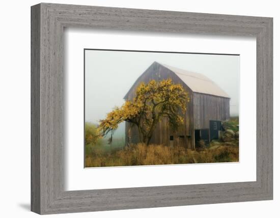 Golden Promises-David Winston-Framed Giclee Print