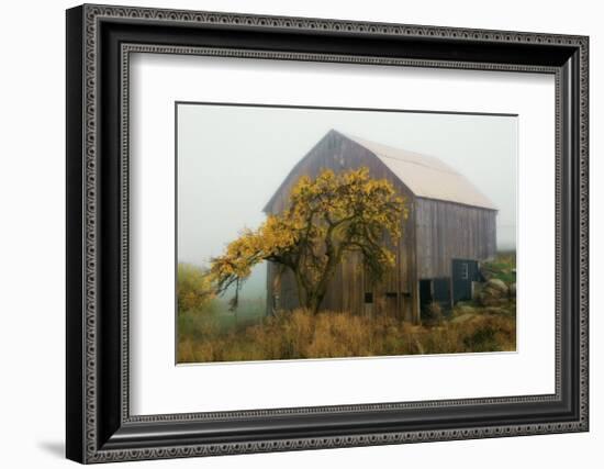 Golden Promises-David Winston-Framed Giclee Print