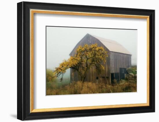 Golden Promises-David Winston-Framed Giclee Print