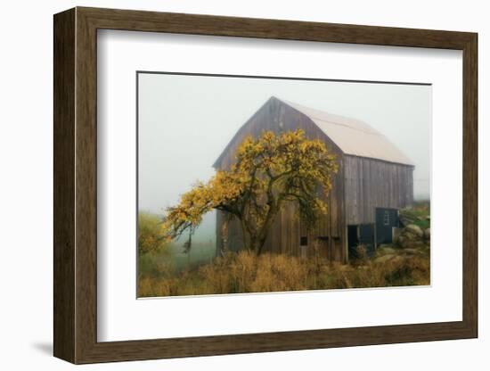 Golden Promises-David Winston-Framed Giclee Print