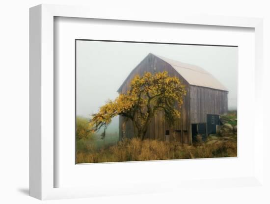 Golden Promises-David Winston-Framed Giclee Print