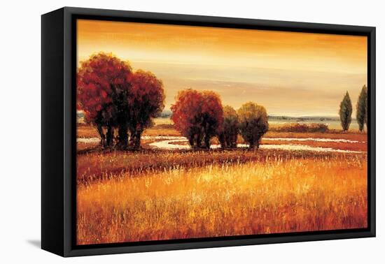 Golden Reflections I-Gregory Williams-Framed Stretched Canvas