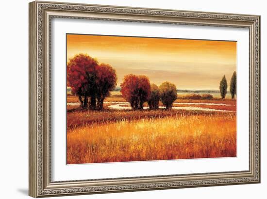 Golden Reflections I-Gregory Williams-Framed Art Print