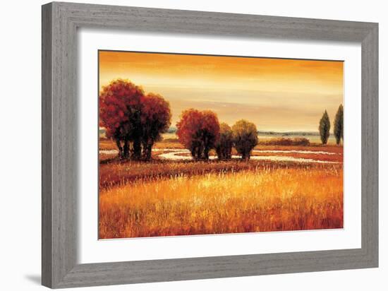 Golden Reflections I-Gregory Williams-Framed Art Print