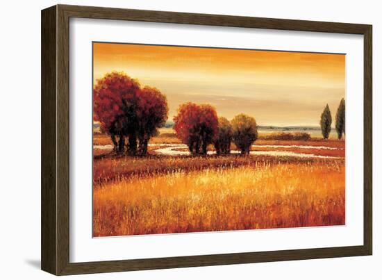 Golden Reflections I-Gregory Williams-Framed Art Print