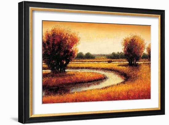 Golden Reflections II-Gregory Williams-Framed Art Print