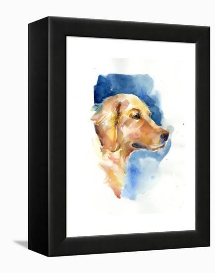 Golden Retriever, 2015-John Keeling-Framed Premier Image Canvas