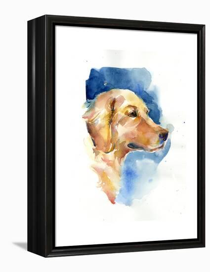 Golden Retriever, 2015-John Keeling-Framed Premier Image Canvas