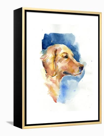 Golden Retriever, 2015-John Keeling-Framed Premier Image Canvas