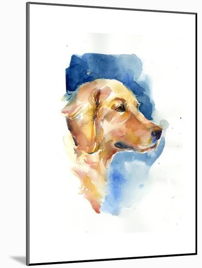 Golden Retriever, 2015-John Keeling-Mounted Giclee Print