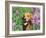 Golden Retriever Amongst Meadow Flowers, USA-Lynn M. Stone-Framed Photographic Print