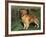 Golden Retriever (Canis Familiaris) Illinois, USA-Lynn M. Stone-Framed Photographic Print