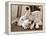 Golden Retriever Dog Adopts Kittens, 1964-null-Framed Premier Image Canvas