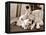 Golden Retriever Dog Adopts Kittens, 1964-null-Framed Premier Image Canvas