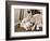 Golden Retriever Dog Adopts Kittens, 1964-null-Framed Photographic Print