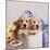 Golden Retriever Dog Two Puppies in Laundry Basket-null-Mounted Photographic Print