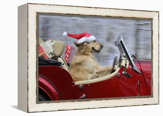 Golden Retriever Dog Wearing Father Christmas-null-Framed Premier Image Canvas