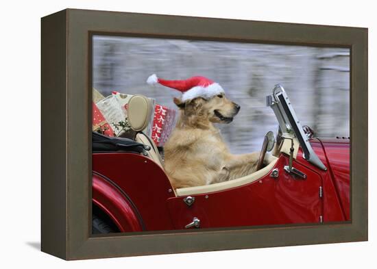 Golden Retriever Dog Wearing Father Christmas-null-Framed Premier Image Canvas