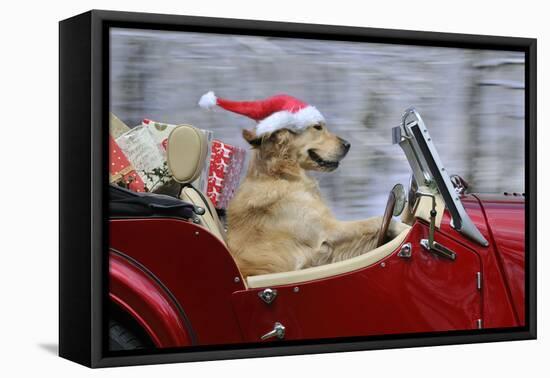 Golden Retriever Dog Wearing Father Christmas-null-Framed Premier Image Canvas