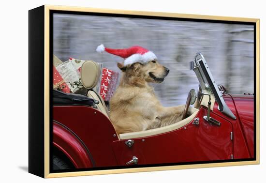 Golden Retriever Dog Wearing Father Christmas-null-Framed Premier Image Canvas