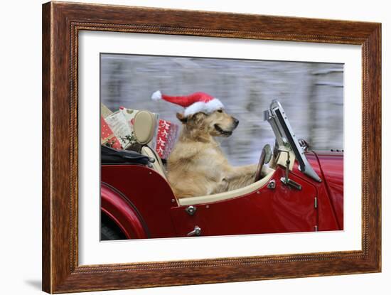 Golden Retriever Dog Wearing Father Christmas-null-Framed Premium Photographic Print