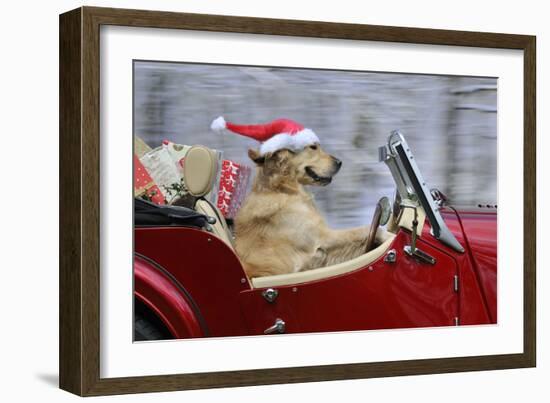 Golden Retriever Dog Wearing Father Christmas-null-Framed Photographic Print