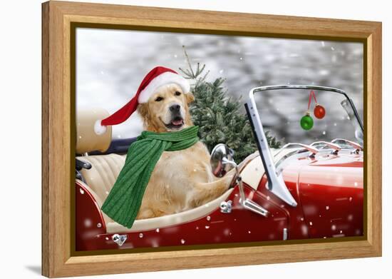 Golden Retriever Driving Car Collecting Christmas Tree-null-Framed Premier Image Canvas