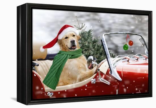 Golden Retriever Driving Car Collecting Christmas Tree-null-Framed Premier Image Canvas